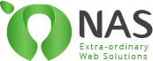 Web Hosting, VPS Hosting & Dedicated Servers | NAS IT Solutions
